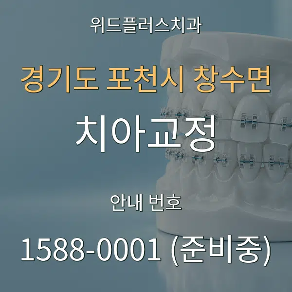 경기도 포천시 창수면 치아교정 대표 안내 그래픽
