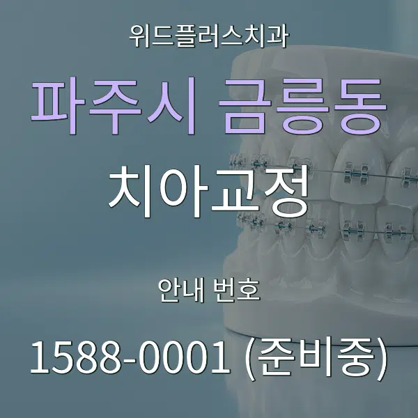 파주시 금릉동 치아교정 대표 안내 그래픽