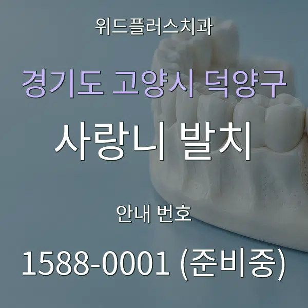 경기도 고양시 덕양구 사랑니 발치 대표 안내 그래픽