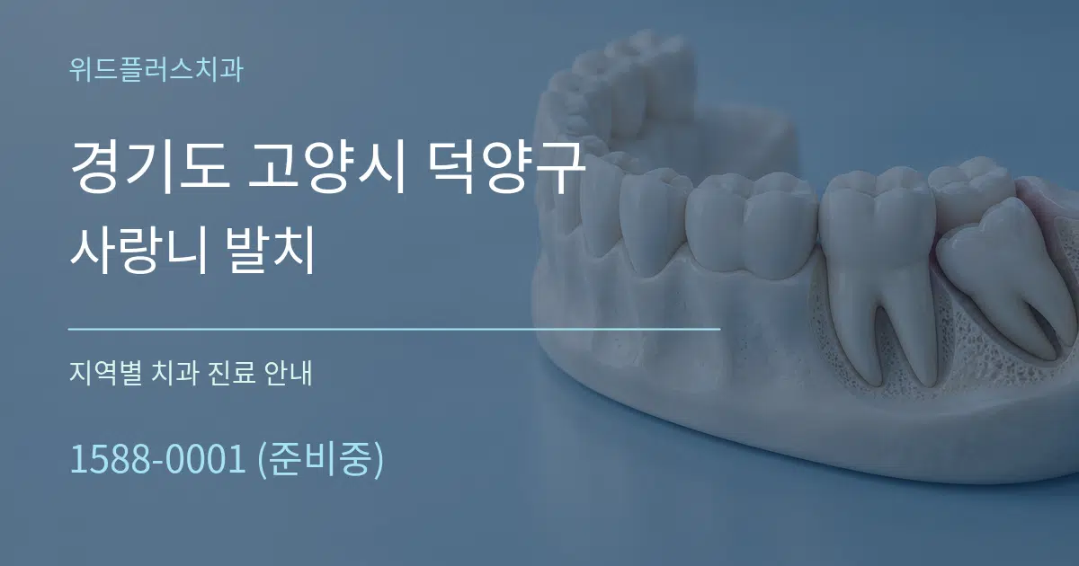 경기도 고양시 덕양구 사랑니 발치 대표 안내 그래픽