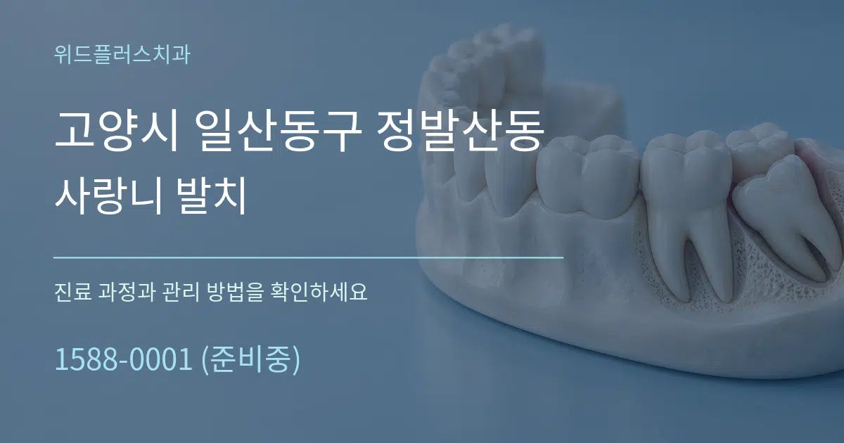 고양시 일산동구 정발산동 사랑니 발치 작업 조건 안내 그래픽