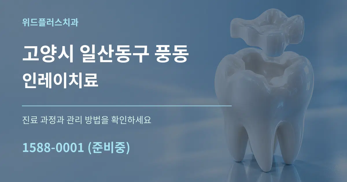 고양시 일산동구 풍동 인레이치료 작업 조건 안내 그래픽