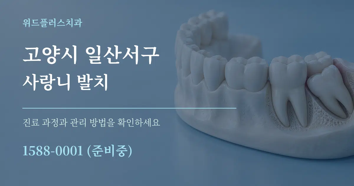 고양시 일산서구 사랑니 발치 작업 조건 안내 그래픽