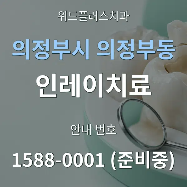 의정부시 의정부동 인레이치료 대표 안내 그래픽