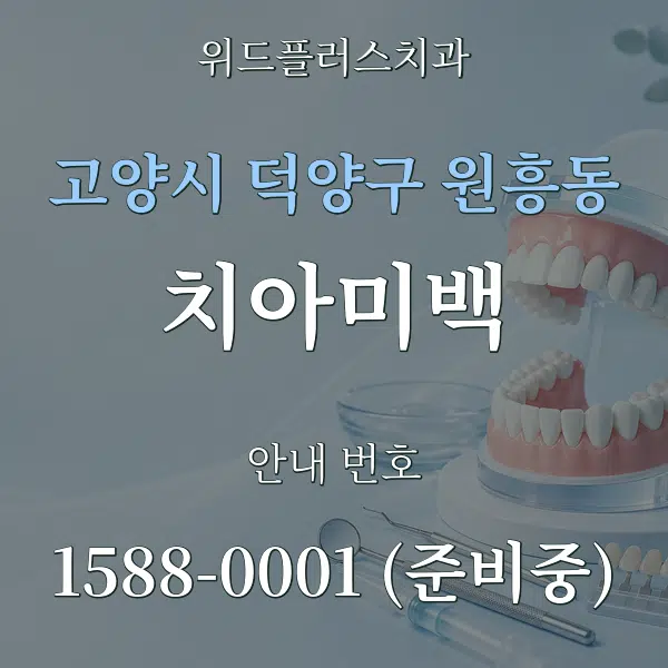 고양시 덕양구 원흥동 치아미백 대표 안내 그래픽