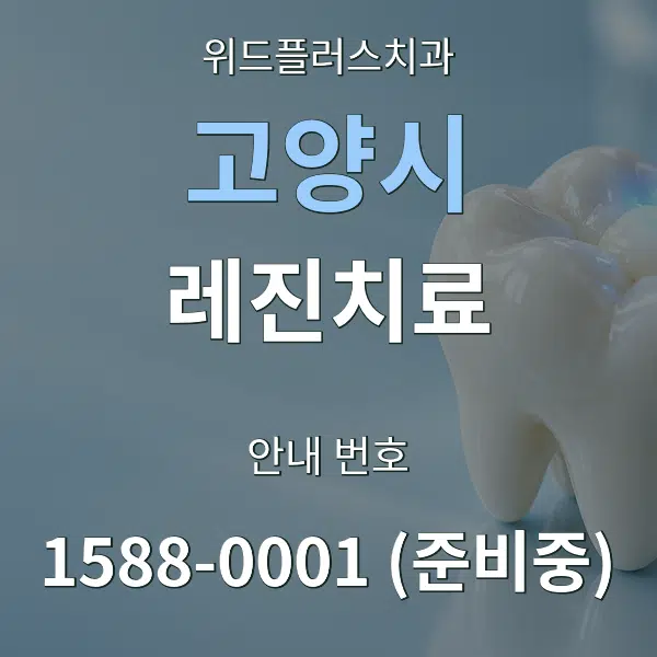 고양시 레진치료 대표 안내 그래픽