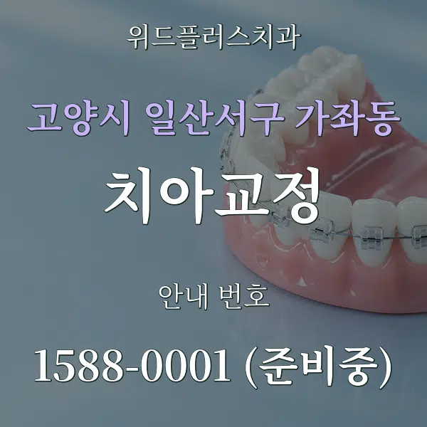 고양시 일산서구 가좌동 치아교정 대표 안내 그래픽