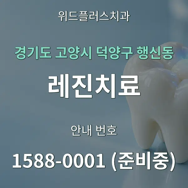 경기도 고양시 덕양구 행신동 레진치료 대표 안내 그래픽