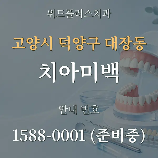고양시 덕양구 대장동 치아미백 대표 안내 그래픽