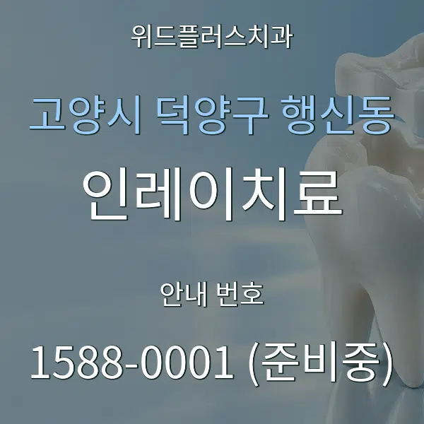 고양시 덕양구 행신동 인레이치료 대표 안내 그래픽