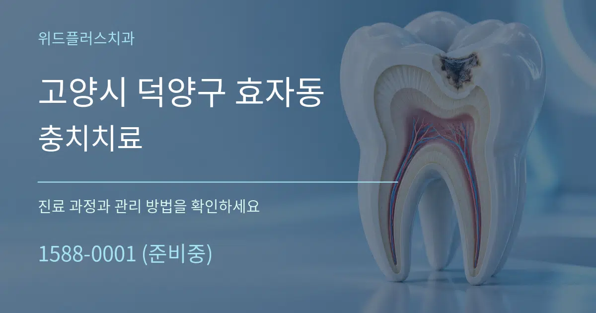 고양시 덕양구 효자동 충치치료 서비스 이용 안내 그래픽