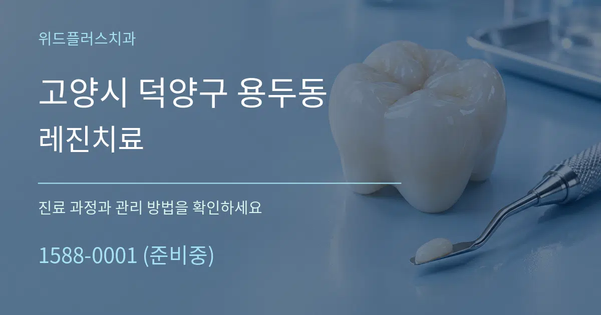 고양시 덕양구 용두동 레진치료 서비스 이용 안내 그래픽