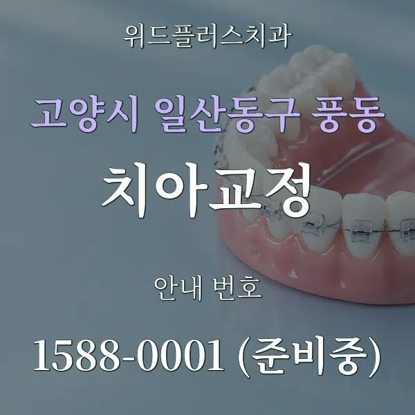 고양시 일산동구 풍동 치아교정 대표 안내 그래픽