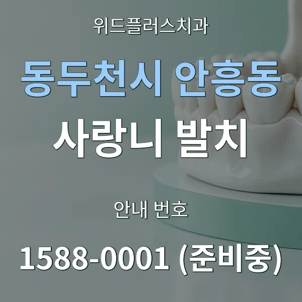 동두천시 안흥동 사랑니 발치 대표 안내 그래픽