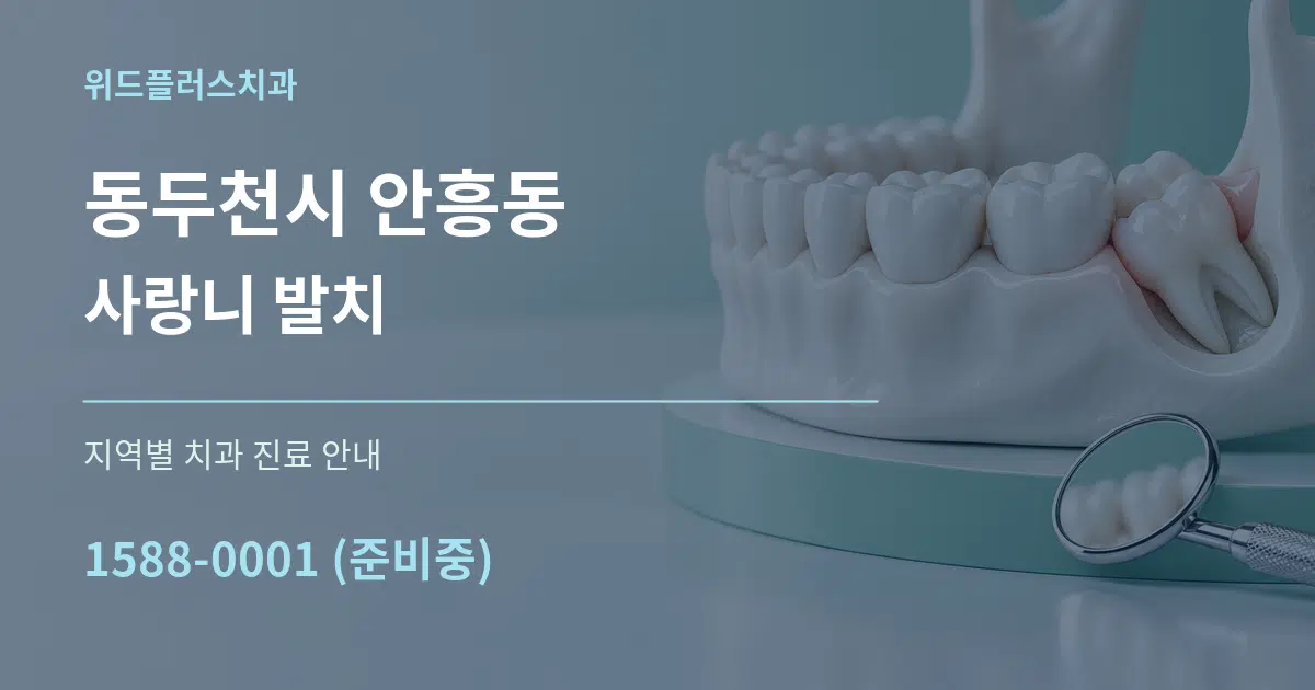 동두천시 안흥동 사랑니 발치 대표 안내 그래픽
