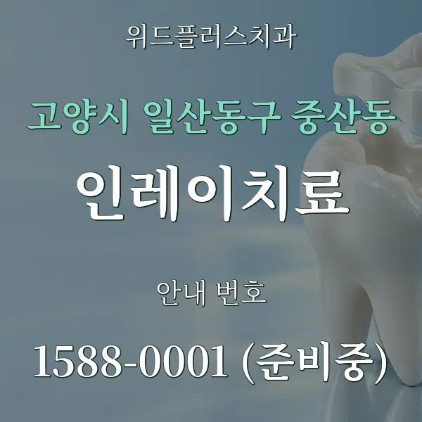고양시 일산동구 중산동 인레이치료 대표 안내 그래픽