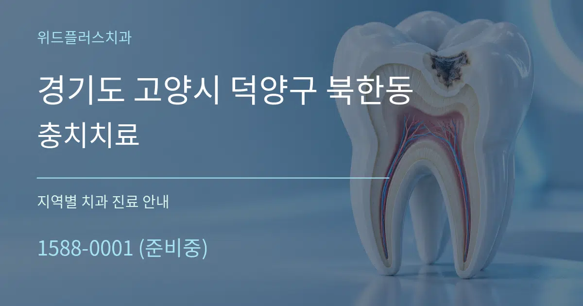 경기도 고양시 덕양구 북한동 충치치료 대표 안내 그래픽