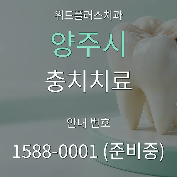 양주시 충치치료 대표 안내 그래픽