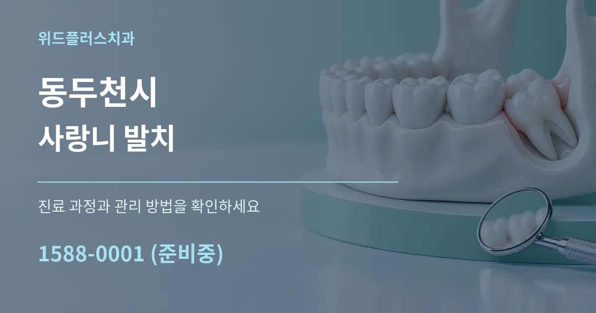 동두천시 사랑니 발치 서비스 이용 안내 그래픽