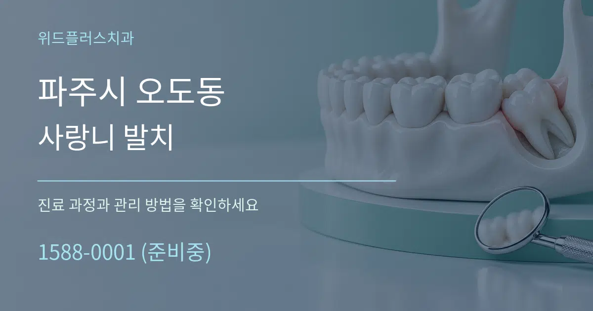 파주시 오도동 사랑니 발치 서비스 이용 안내 그래픽