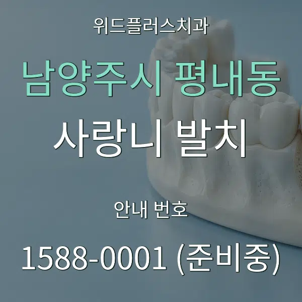 남양주시 평내동 사랑니 발치 대표 안내 그래픽