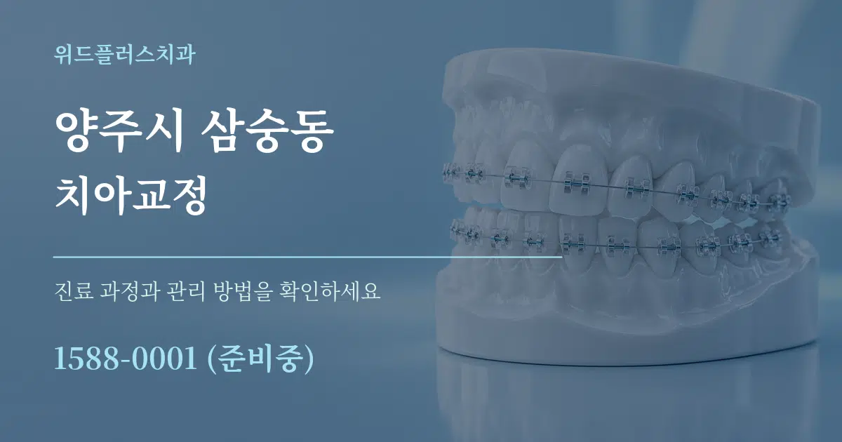 양주시 삼숭동 치아교정 서비스 이용 안내 그래픽