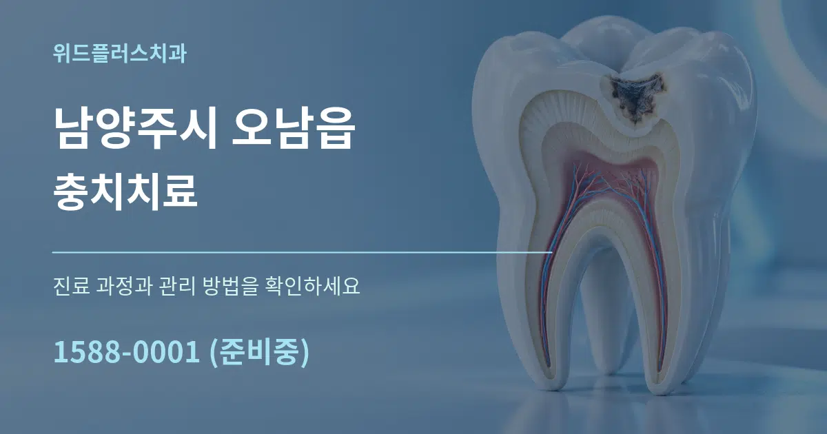 남양주시 오남읍 충치치료 서비스 이용 안내 그래픽