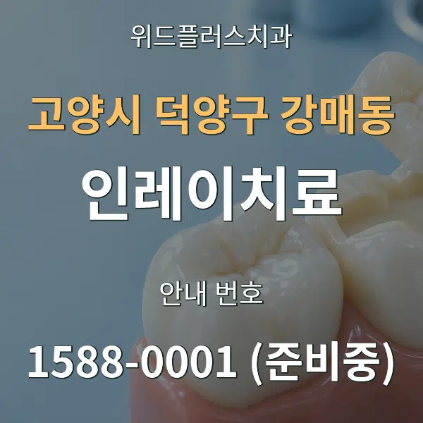 고양시 덕양구 강매동 인레이치료 대표 안내 그래픽