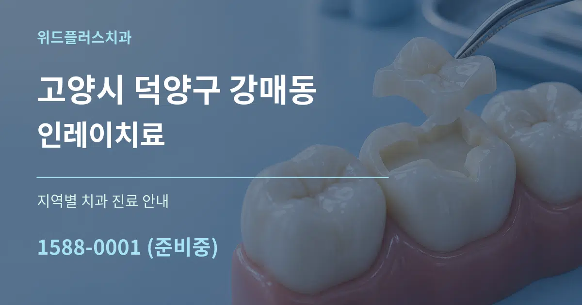 고양시 덕양구 강매동 인레이치료 대표 안내 그래픽