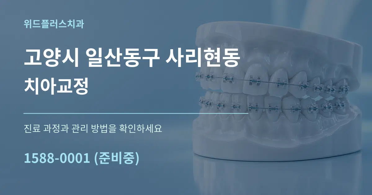 고양시 일산동구 사리현동 치아교정 서비스 이용 안내 그래픽