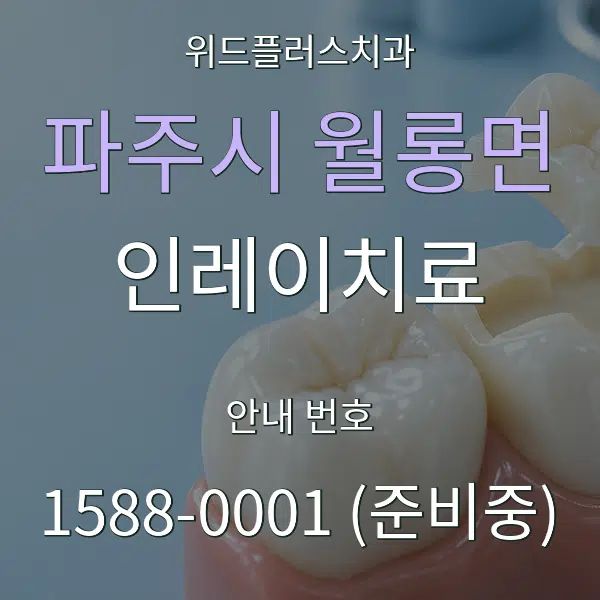 파주시 월롱면 인레이치료 대표 안내 그래픽