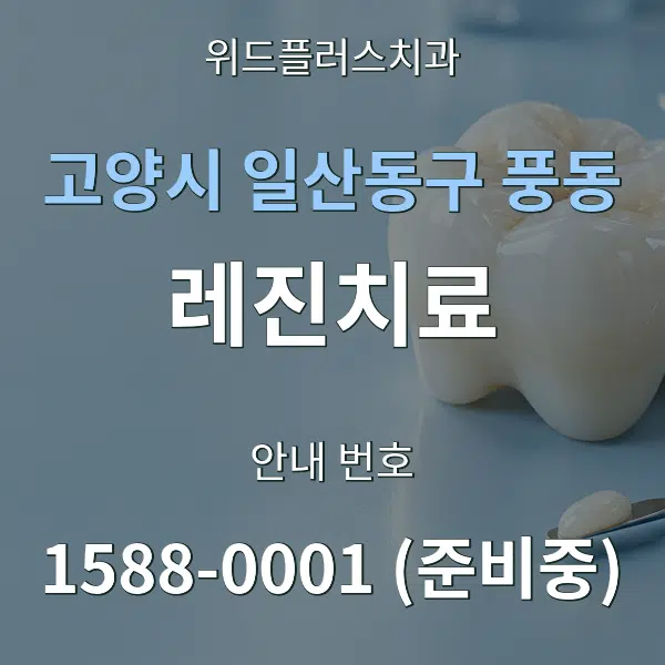 고양시 일산동구 풍동 레진치료 대표 안내 그래픽
