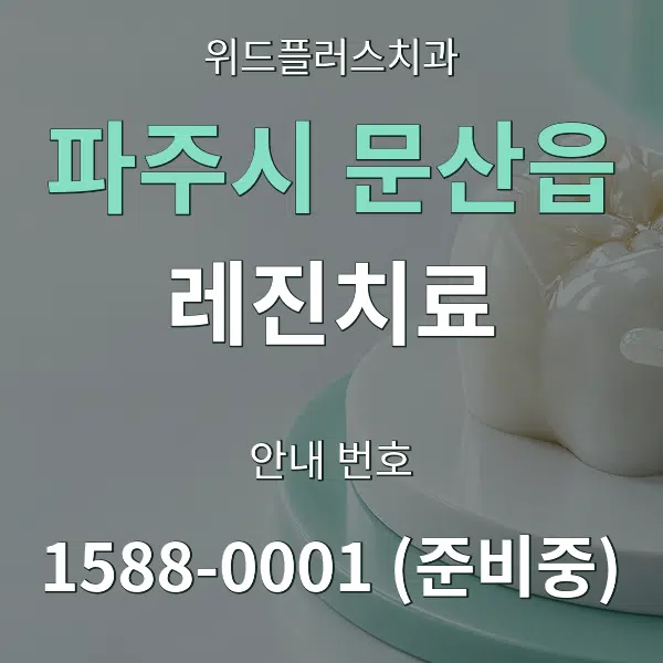 파주시 문산읍 레진치료 대표 안내 그래픽