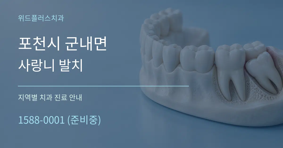 포천시 군내면 사랑니 발치 대표 안내 그래픽