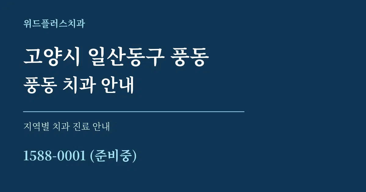 고양시 일산동구 풍동 풍동 치과 안내 대표 안내 그래픽