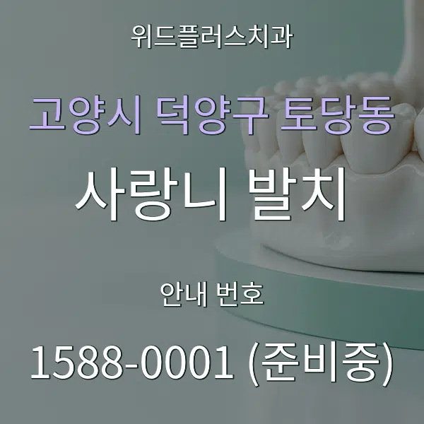 고양시 덕양구 토당동 사랑니 발치 대표 안내 그래픽