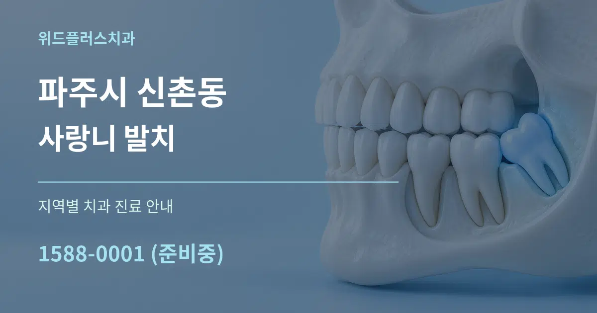 파주시 신촌동 사랑니 발치 대표 안내 그래픽