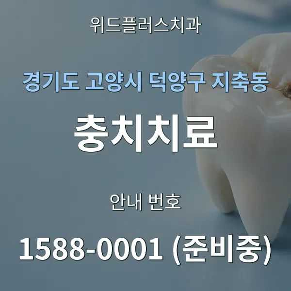 경기도 고양시 덕양구 지축동 충치치료 대표 안내 그래픽