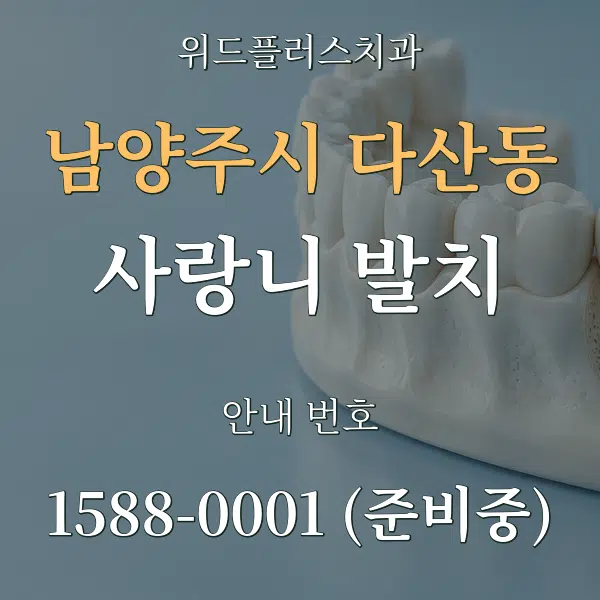 남양주시 다산동 사랑니 발치 대표 안내 그래픽