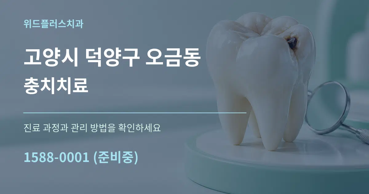 고양시 덕양구 오금동 충치치료 작업 조건 안내 그래픽