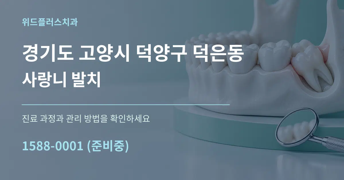 경기도 고양시 덕양구 덕은동 사랑니 발치 작업 조건 안내 그래픽