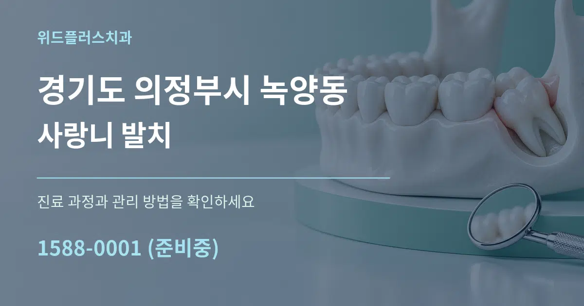 경기도 의정부시 녹양동 사랑니 발치 서비스 이용 안내 그래픽