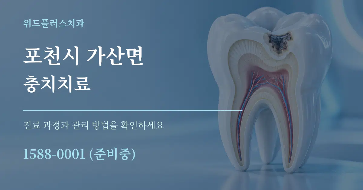 포천시 가산면 충치치료 서비스 이용 안내 그래픽