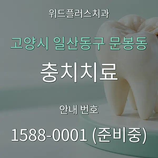 고양시 일산동구 문봉동 충치치료 대표 안내 그래픽