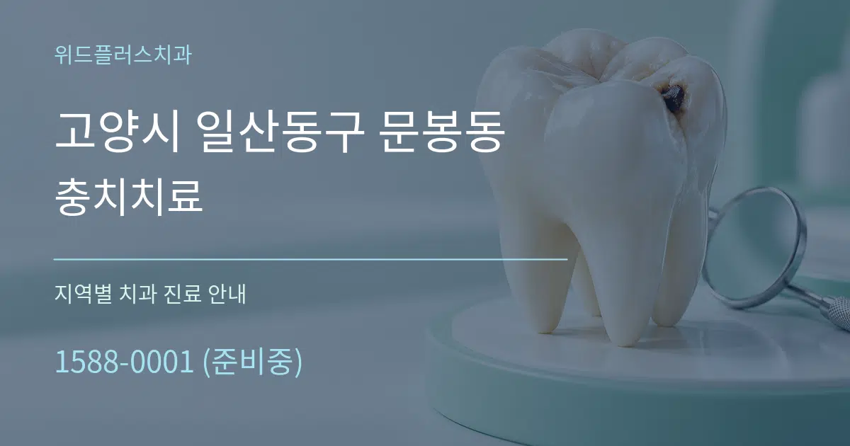 고양시 일산동구 문봉동 충치치료 대표 안내 그래픽
