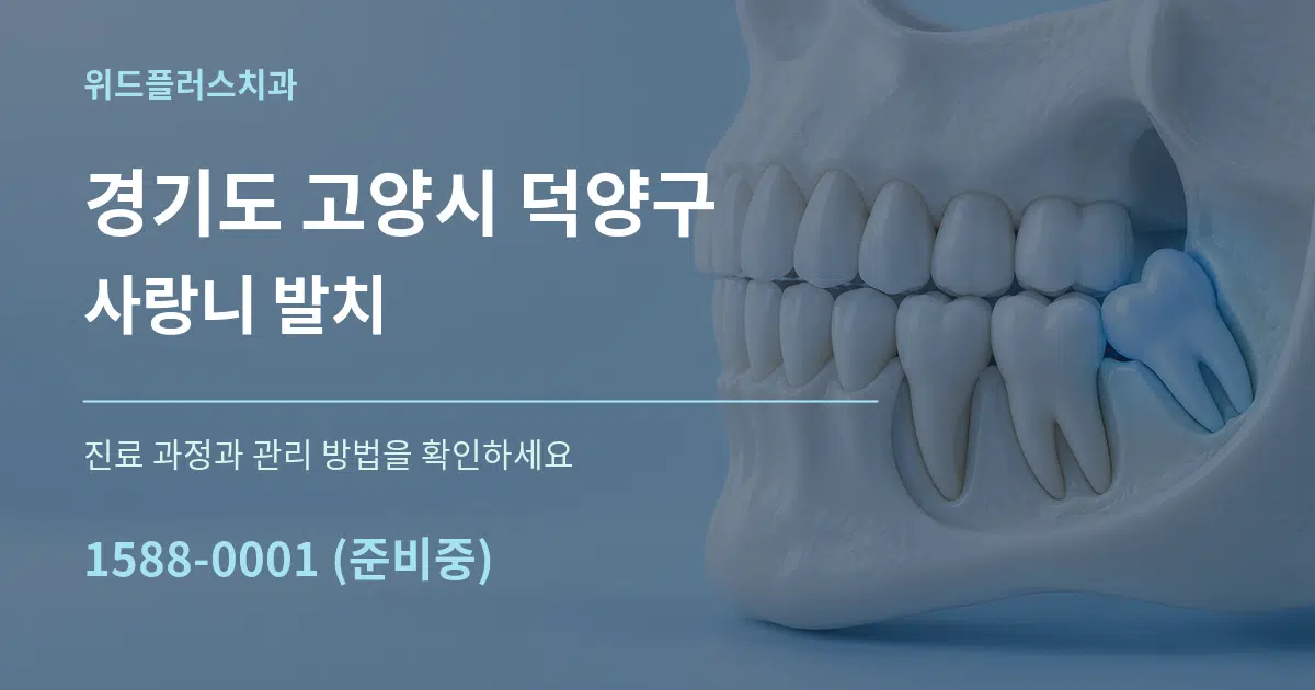 경기도 고양시 덕양구 사랑니 발치 작업 조건 안내 그래픽