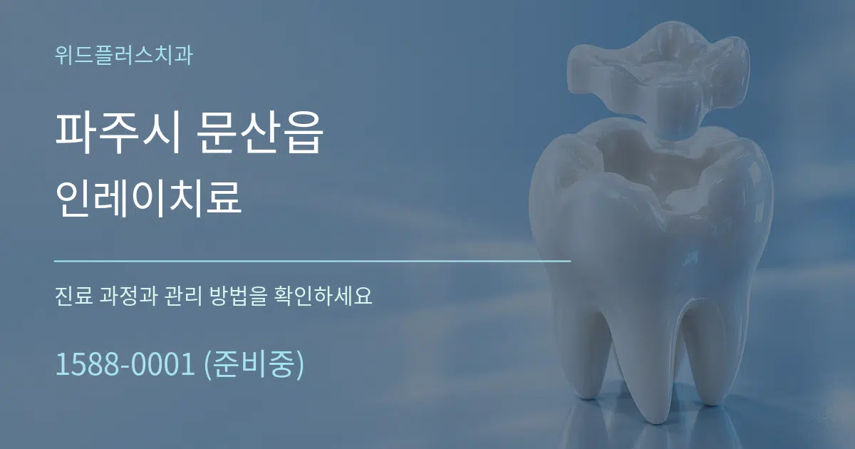 파주시 문산읍 인레이치료 서비스 이용 안내 그래픽