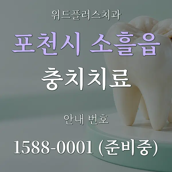 포천시 소흘읍 충치치료 대표 안내 그래픽