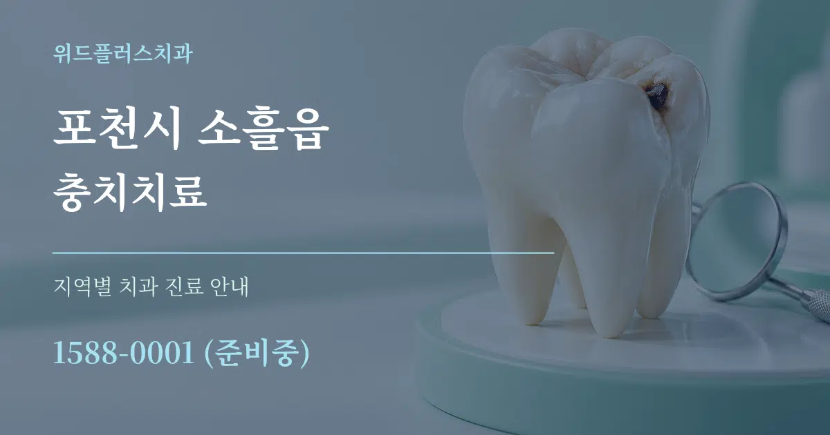 포천시 소흘읍 충치치료 대표 안내 그래픽