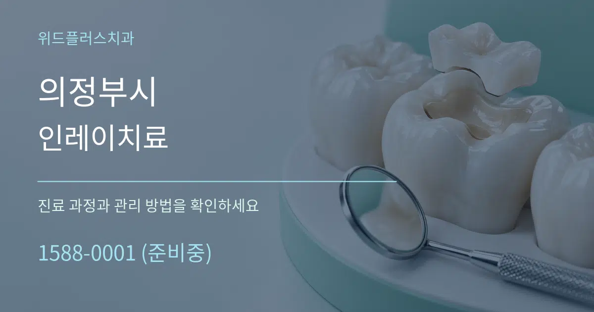의정부시 인레이치료 서비스 이용 안내 그래픽